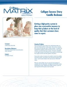 Reynolds Culligan Camille Beckman Case Study