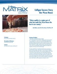 Reynolds Culligan Our Pizza House Case Study