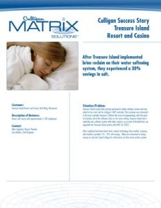 Reynolds Culligan Treasure Island Resort Casino Case Study