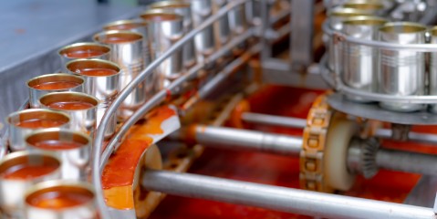 Processed Food Manufacturing